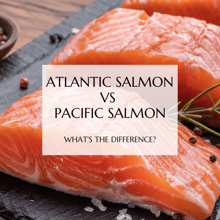 Atlantic Salmon vs Pacific Salmon: What's the Difference? - The